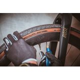 Schwalbe G-One RS EVO Folding Tire 700c