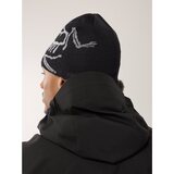 Arc'teryx Bird Head Toque