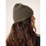 Arc'teryx Skaha Toque