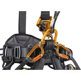 Petzl Astro Bod Fast International Version