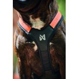 Non-stop Dogwear Rush Harness