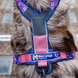 Non-stop Dogwear Line Harness 5.0 Rachel Pohl