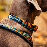 Non-stop Dogwear Trail Quest Collar Rachel Pohl