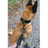 Non-stop Dogwear Security Strap WD