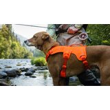 Ruffwear Web Master Harness (new design)