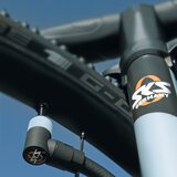 SKS Air-X-Plorer Clik Valve 10.0 10 bar/144 psi