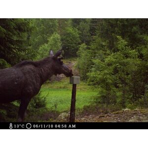 Moultrie Game Spy I-65S