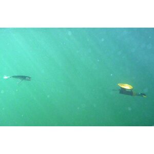 Liquidzone Zoner Smart Diver for trolling