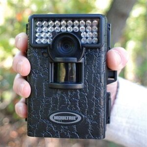 Moultrie M-80 Minicam