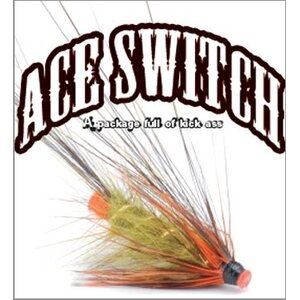Vision Ace Switch