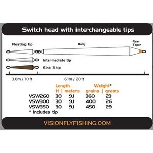 Vision Ace Switch