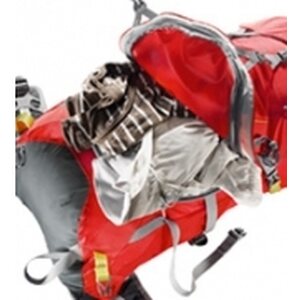 Deuter Spectro AC 36