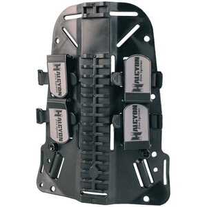 Halcyon Traveler BC System