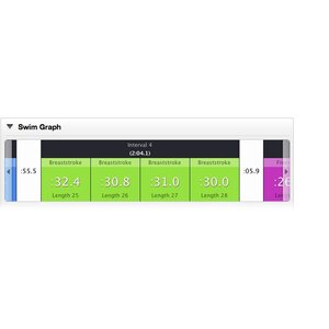 Garmin Swim