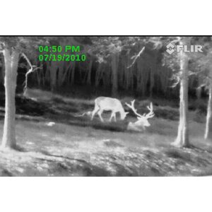 Flir Scout PS24