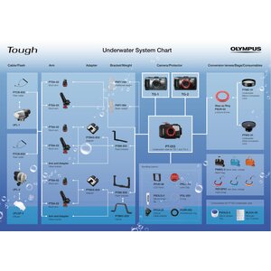 Olympus PTWC-01 Wide Angle Wet Lens