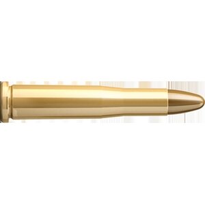 .22 Hornet cartridges