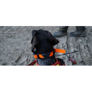 Garmin DC 50 collar