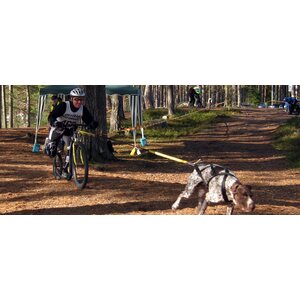 Kickbike Cross MAX 20D and water bottle & cage