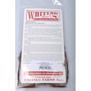 Whiting Brahma Hen Soft Hackle With Chickabou