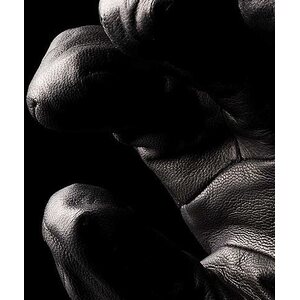Arc'teryx Alpha SV Glove