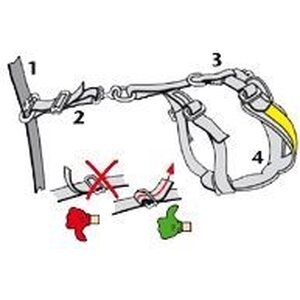 Allsafe Safety Harness