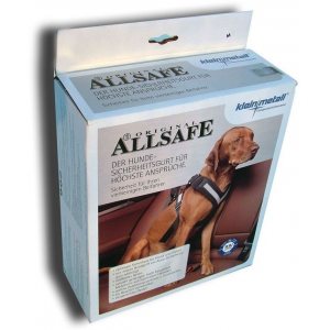 Allsafe Safety Harness