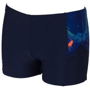 Arena Universe Boxer