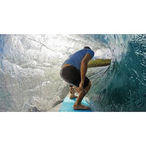 GoPro Smart Remote