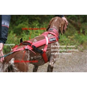 Non-stop Dogwear Combined harness -pulkkavaljas