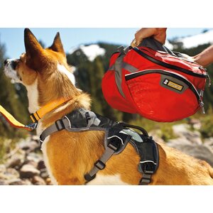 Ruffwear Palisades Pack