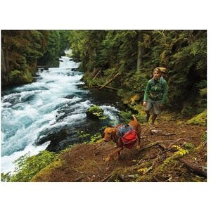 Ruffwear Palisades Pack
