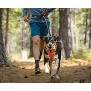 Ruffwear Front Range Harness