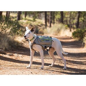 Ruffwear Singletrak Pack