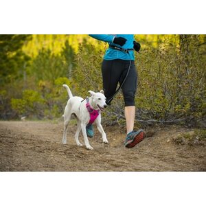 Ruffwear Roamer Leash (metal hook)