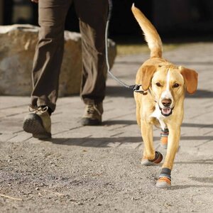 Ruffwear Summit Trex, 4 kpl