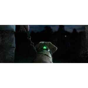 Sportdog Locator Beacon -light