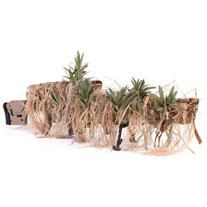 Tactical Concealment Boomslang (Alpha Kit)