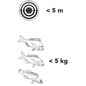 Seacsub Condor 75