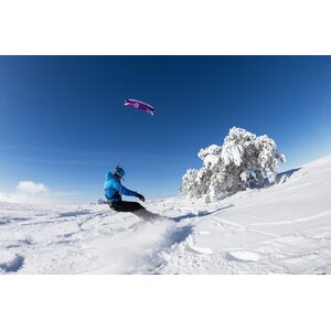 Flysurfer Speed5 12.0 -kite only