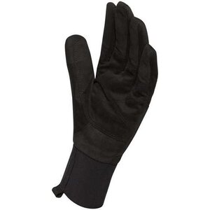 Sealskinz Dragon Eye AX Glove
