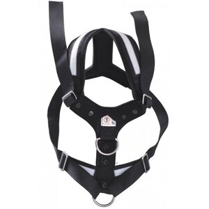 Allsafe Safety Harness