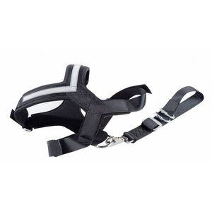 Allsafe Safety Harness