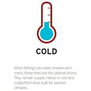 Scientific Anglers Mastery Trout