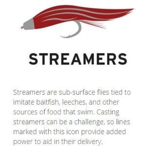 Scientific Anglers Frequency Full Sink