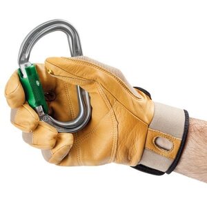 Petzl Am'D PinLock