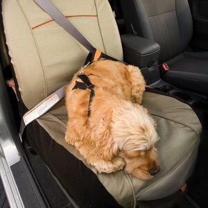 Kurgo CoPilot etupenkinsuojus