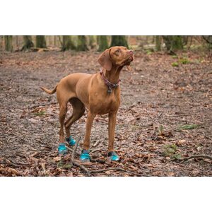 Ruffwear Grip Trex, 4kpl