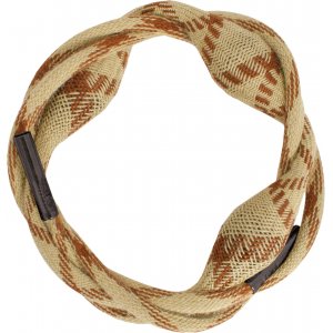 Shotgun Boresnakes