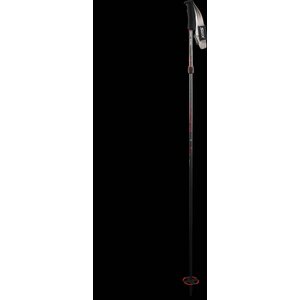 Swix Sonic R1 Full Carbon 2-piece
